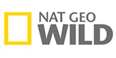 channel-logo